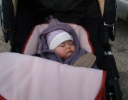 SAMSUNG DIGIMAX A55W