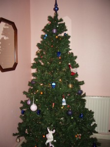 Mon beau sapin… J’le dépouille!!