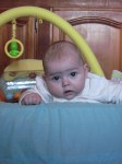 IMG_1466