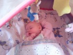 Photo0043